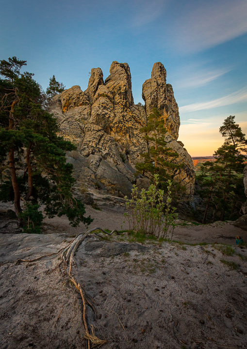 Hamburger Wappen, Harz