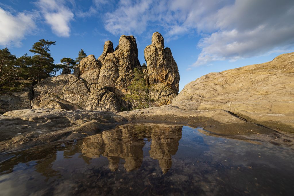 Hamburger Wappen, Harz