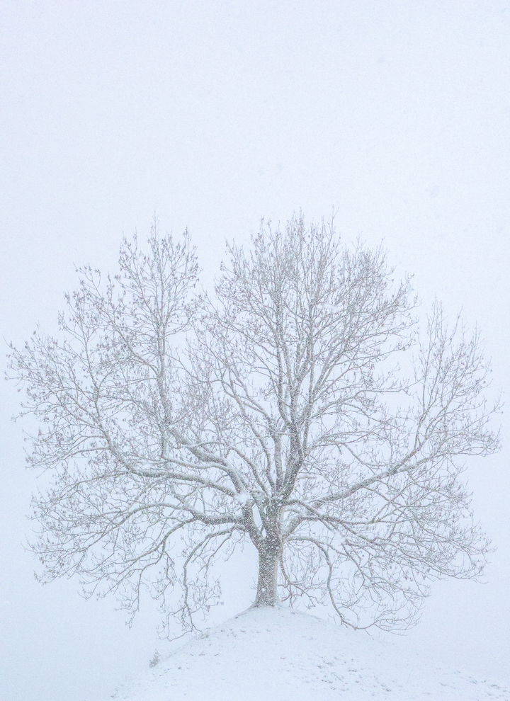 Winterwonderland, Deutschland
