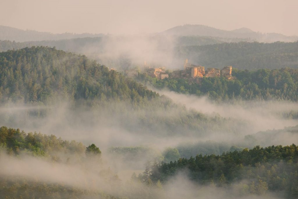 Deutschland, Pfälzerwald - Blick auf Burg Trifels