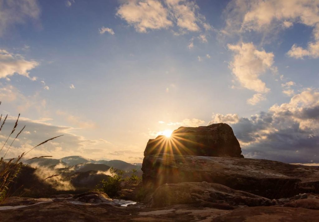 Deutschland - Pfälzerwald2