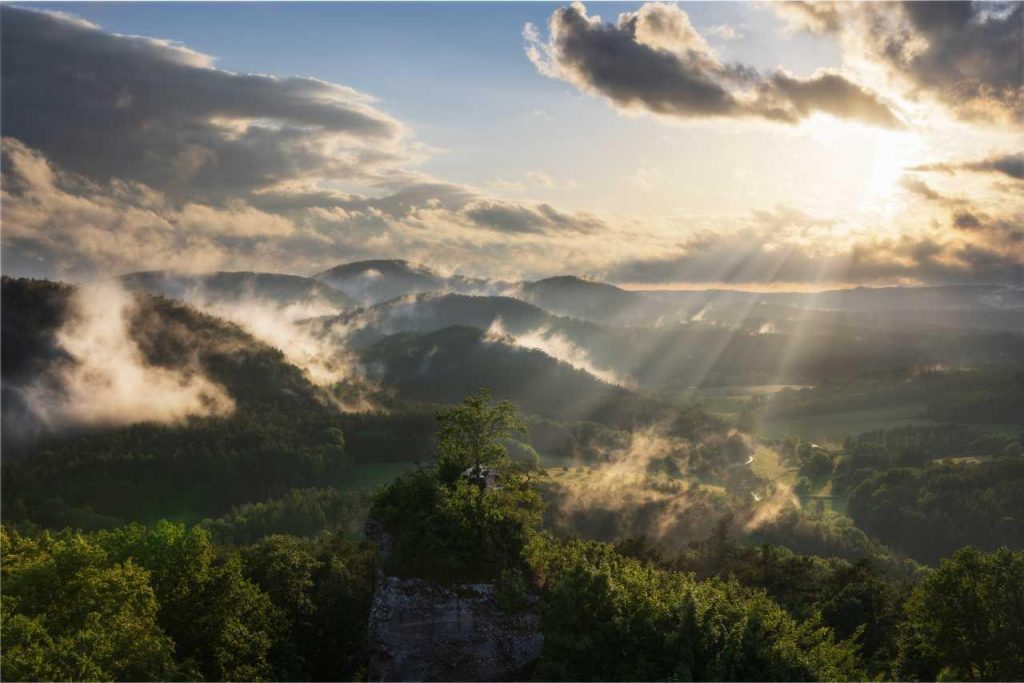 Deutschland, Pfälzerwald