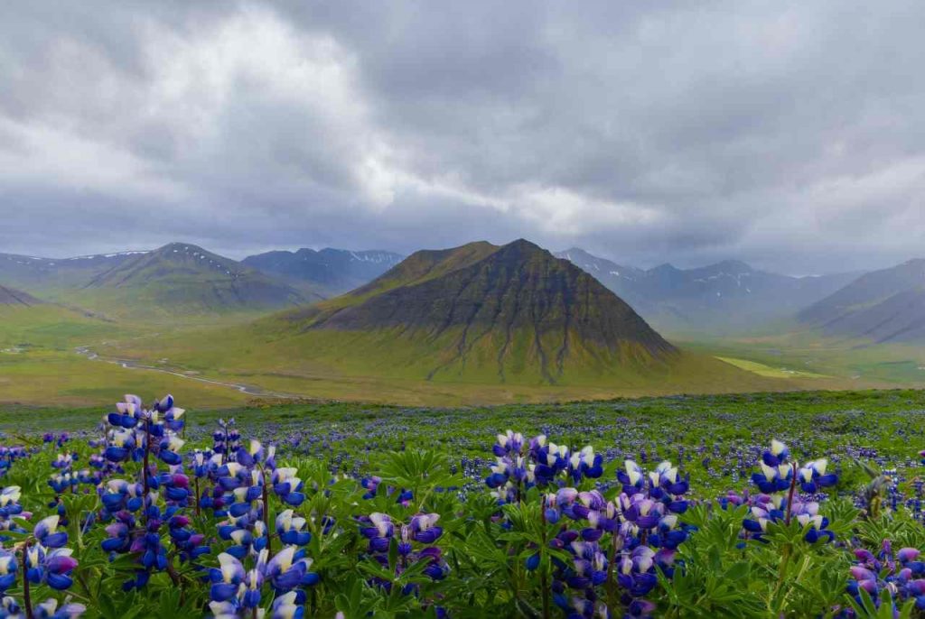 Highlands in den isländischen Westfjorden